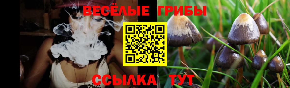 Галлюциногенные грибы GOLDEN TEACHER  Галлюциногенные грибы MAGIC MUSHROOMS  Тихвин  где продают наркотики  Вход с VPN 